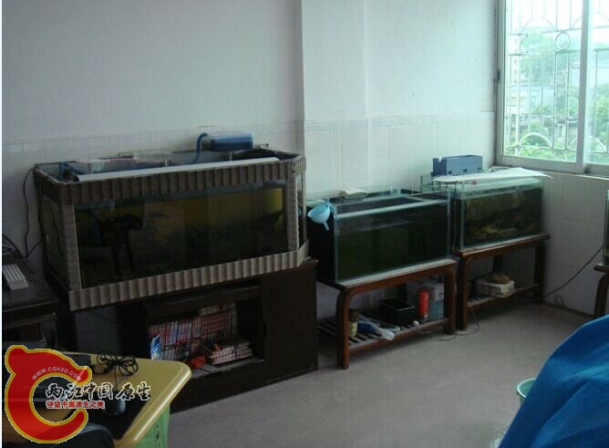 QQ图片20150507020801.jpg