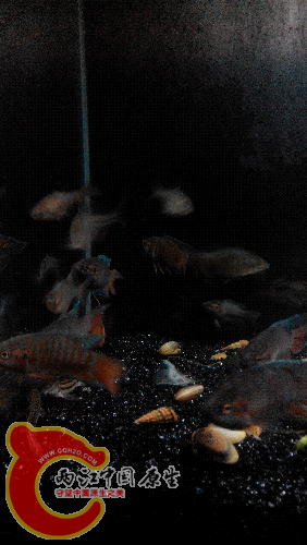 2015506214828.jpg