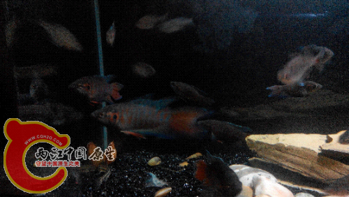 2015506215043.jpg