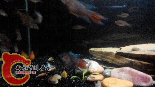 2015506215117.jpg