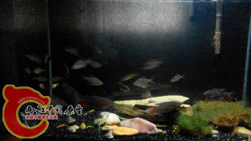 2015506215221.jpg