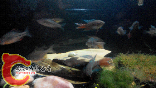 2015506215329.jpg