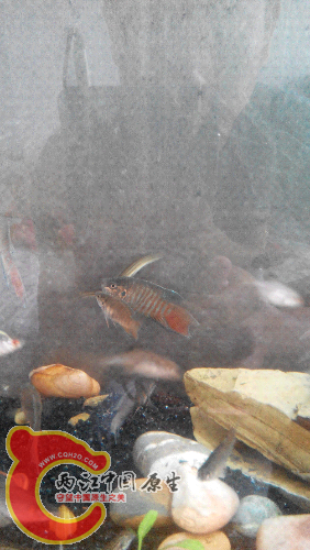 2015507091416.jpg