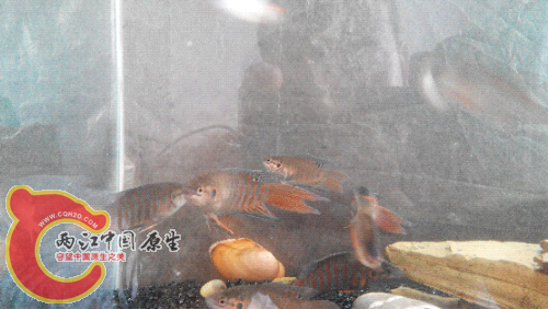 2015507091548.jpg