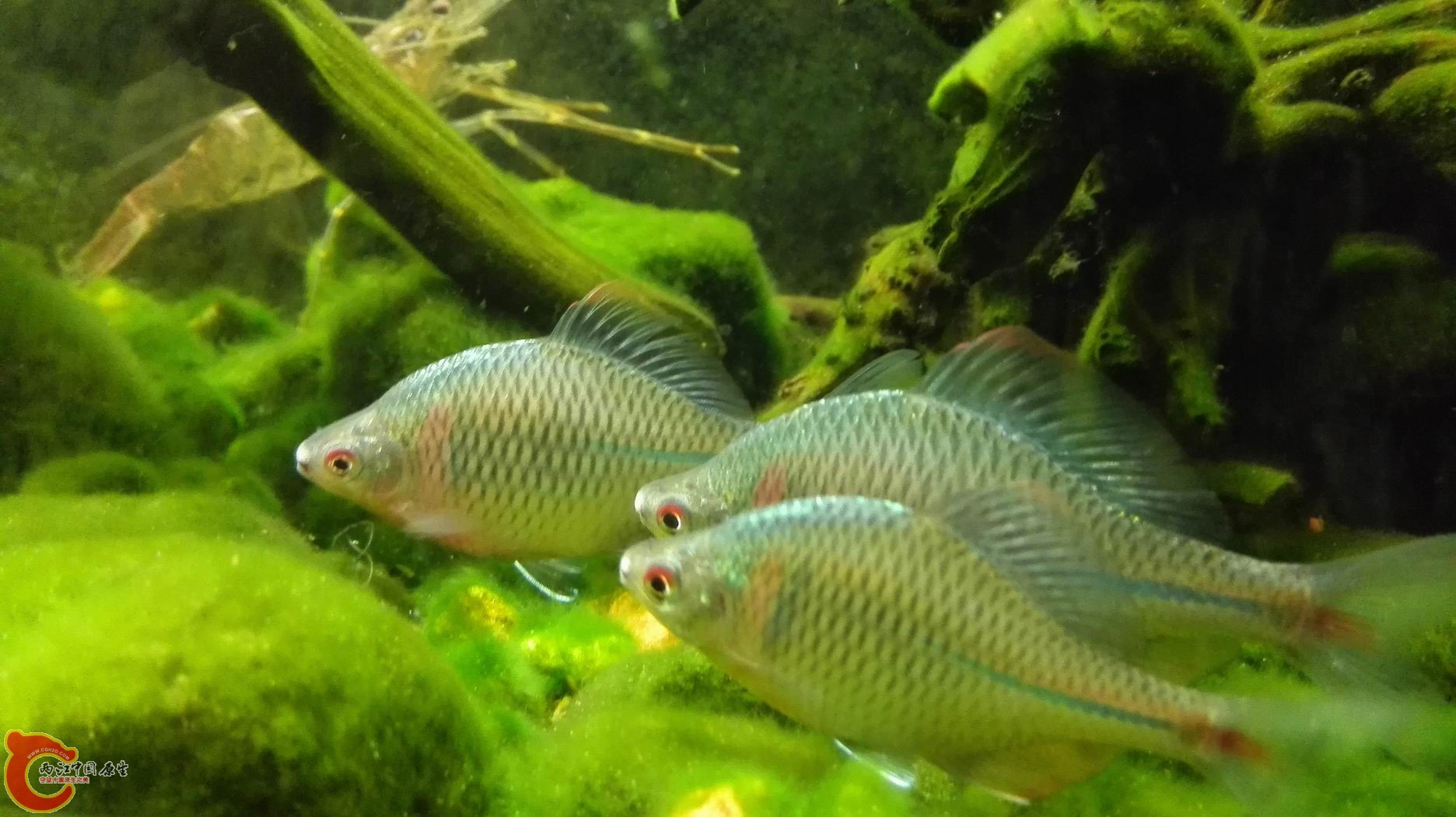 调整大小 IMG_20150424_234324.jpg