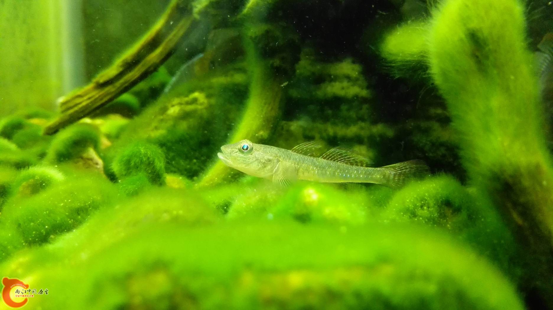 调整大小 IMG_20150425_195002.jpg