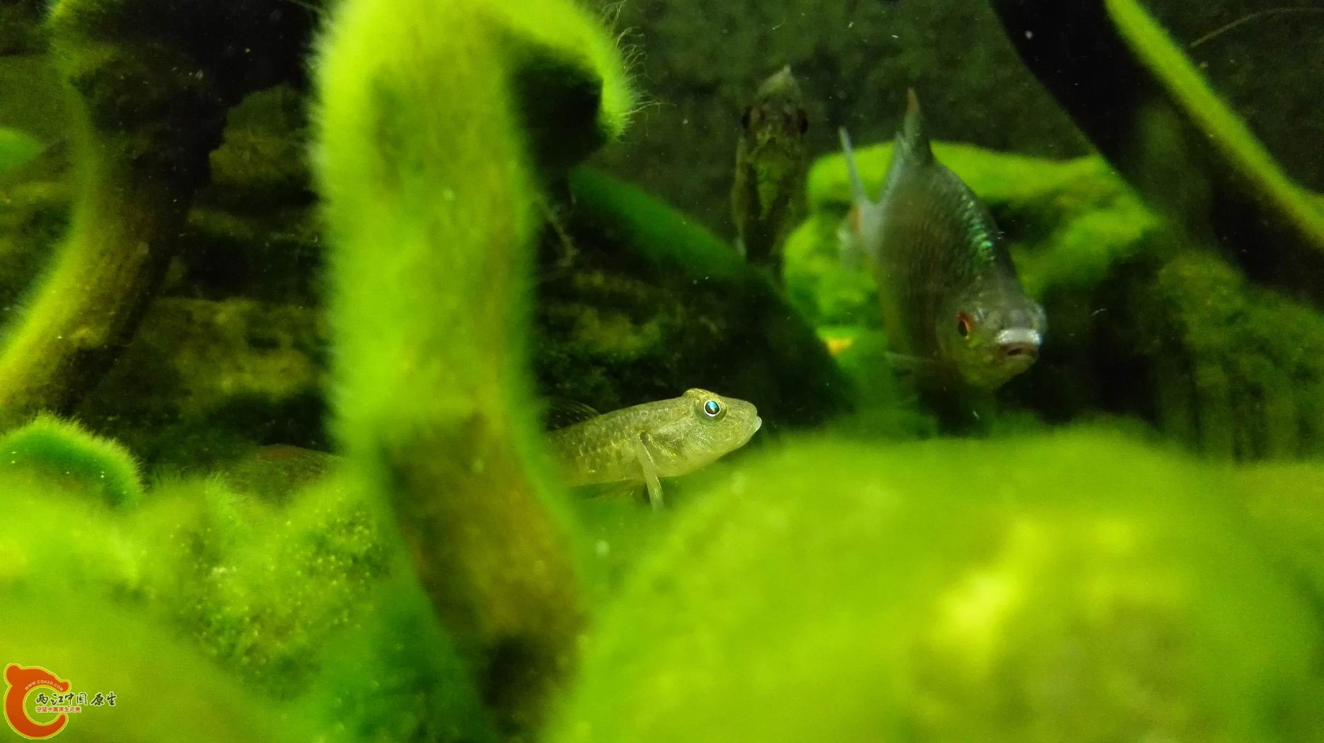 调整大小 IMG_20150425_195043.jpg