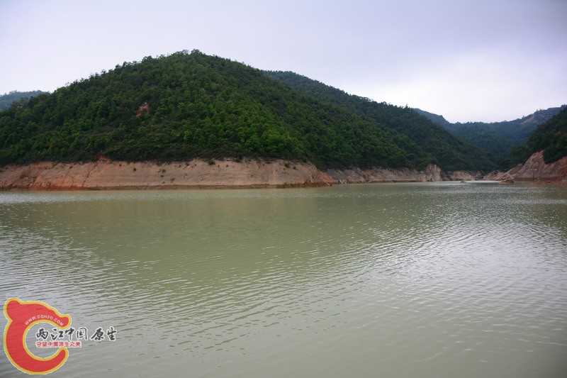 照片 394.jpg