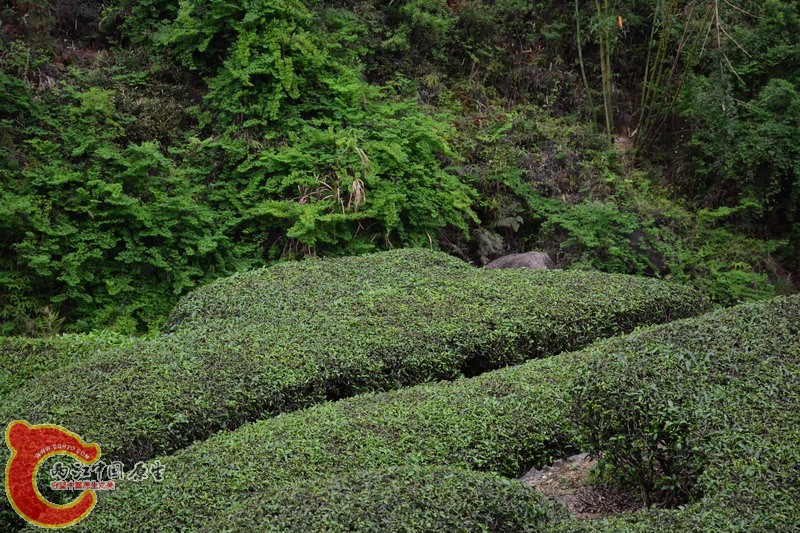 照片 432.jpg