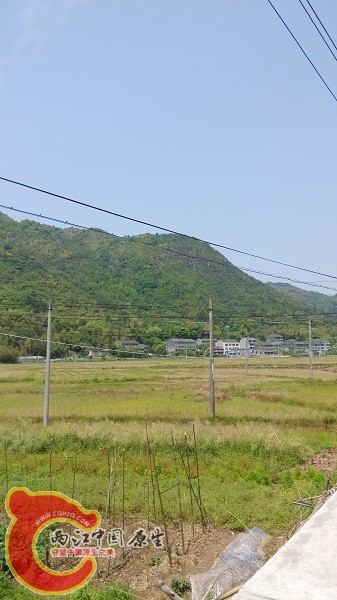 IMG_20150429_110520.jpg