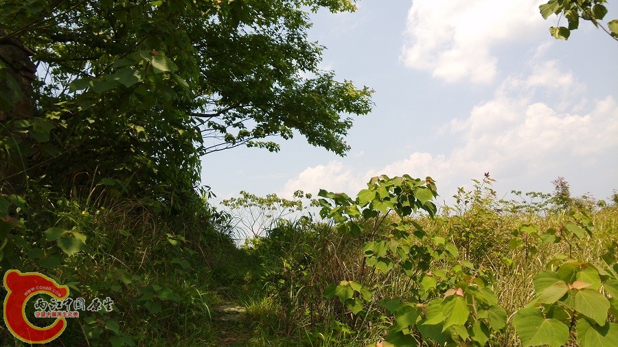 IMG_20150429_121247.jpg
