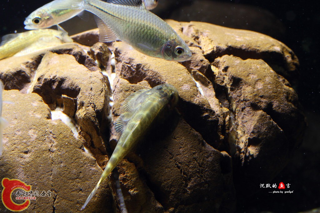 _MG_0006.jpg