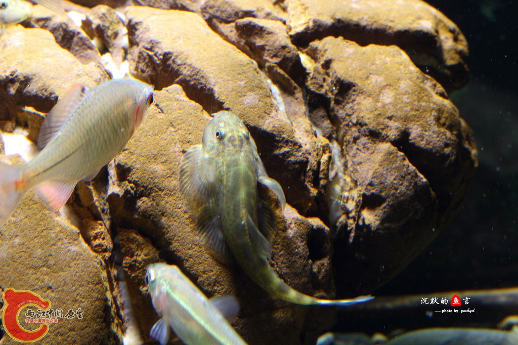 _MG_0017.jpg