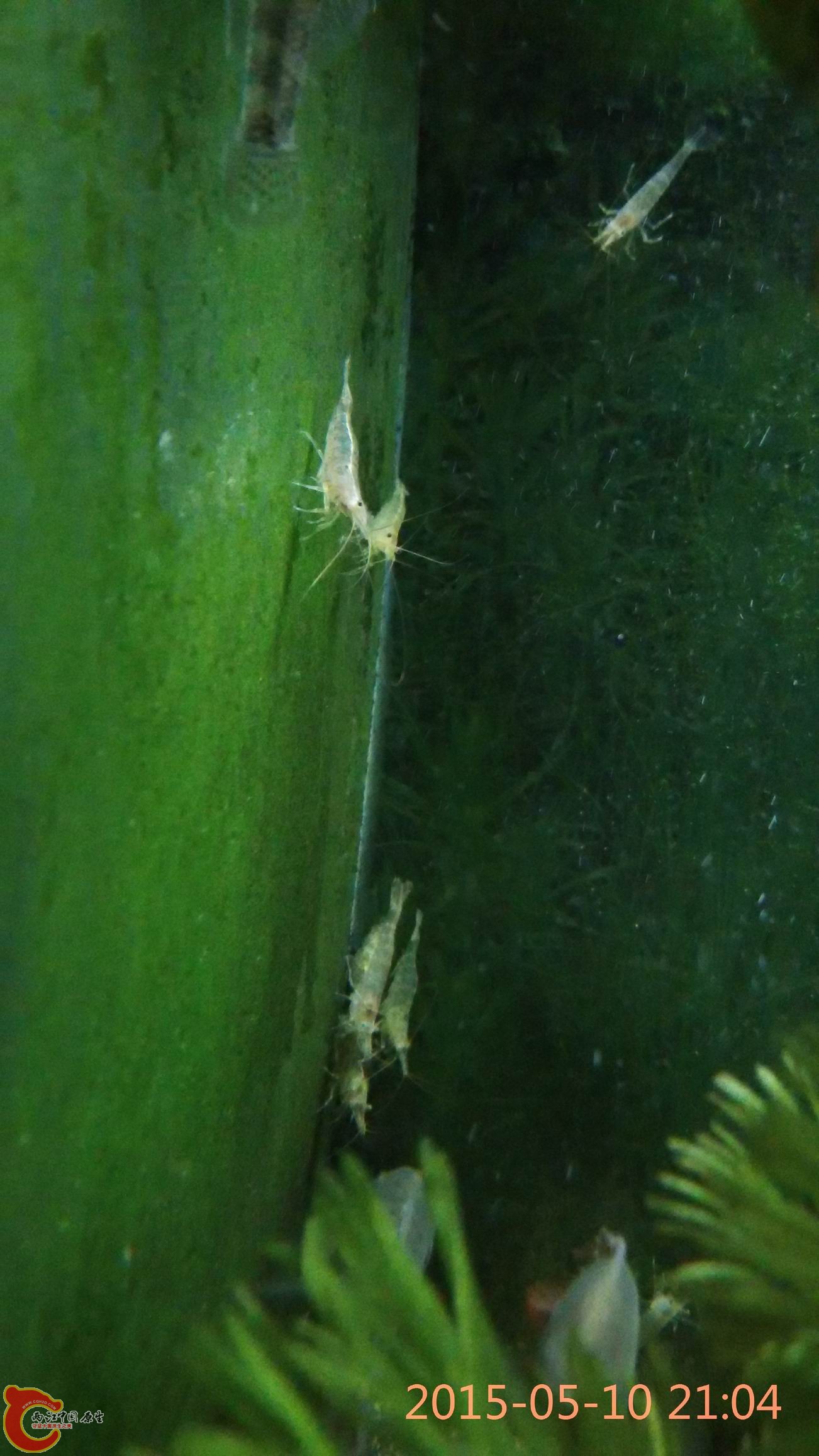 调整大小 IMG_20150510_210403.jpg