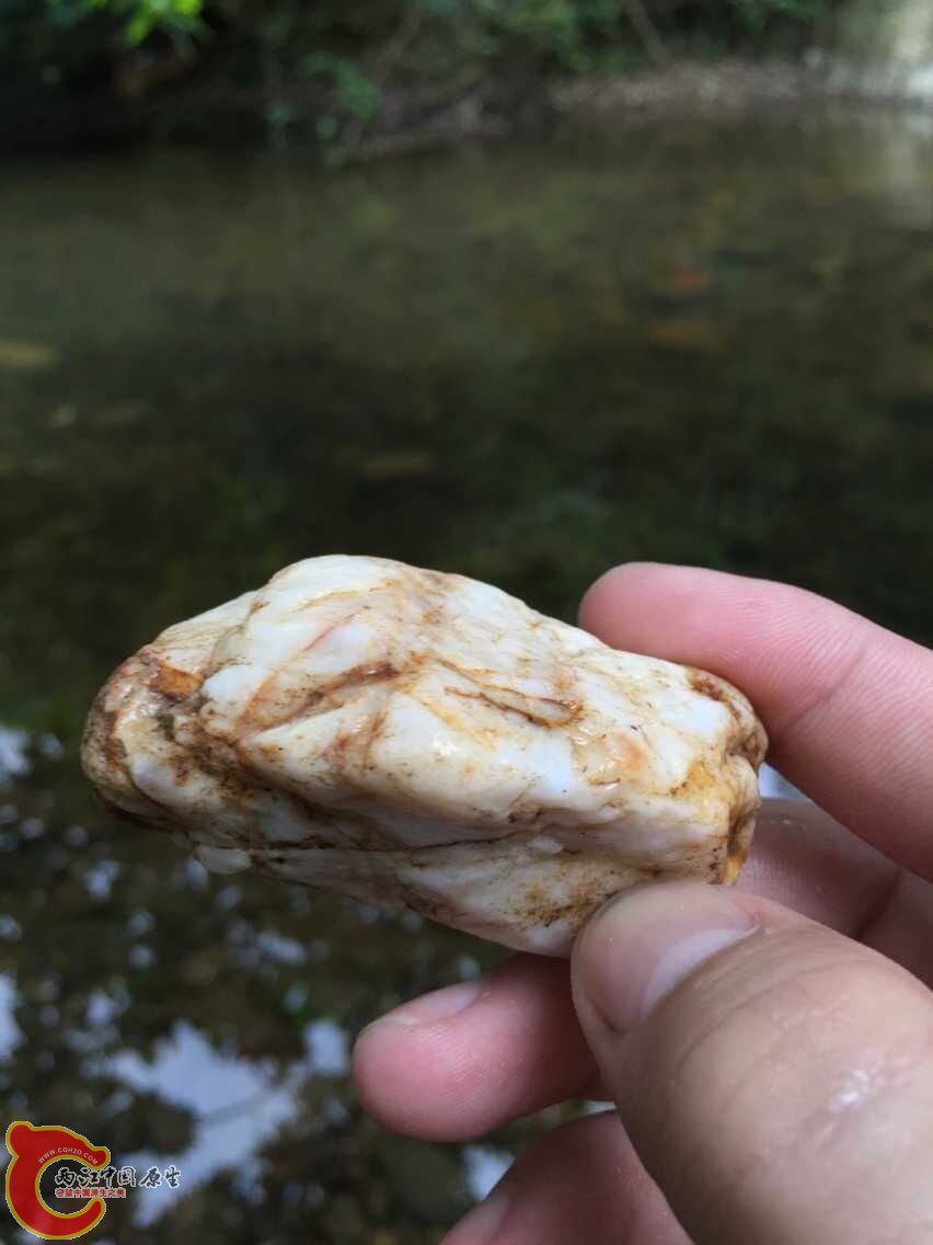 QQ图片20150512171532.jpg