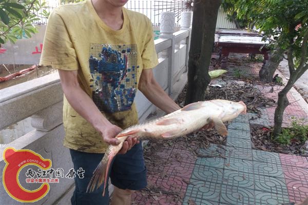 DSC_1224.JPG