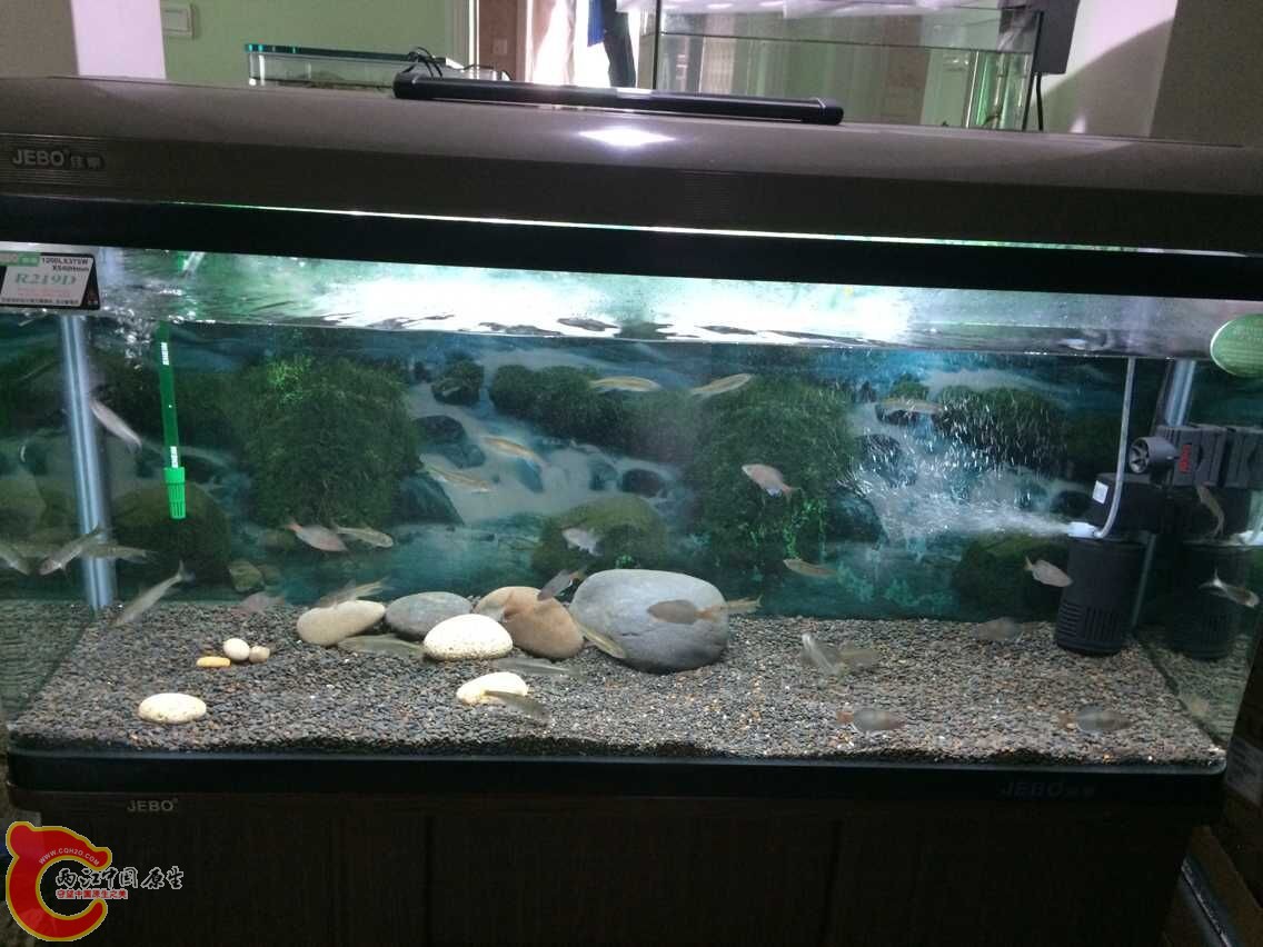 QQ图片20150514123015.jpg