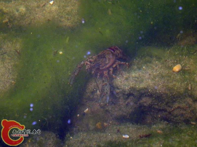 DSC01238_副本.jpg