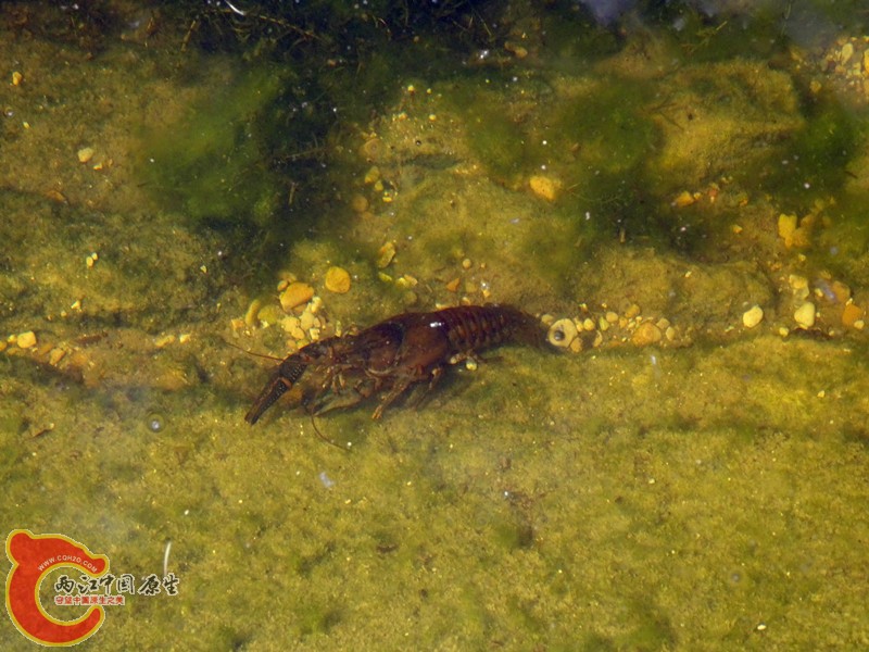 DSC01239_副本.jpg