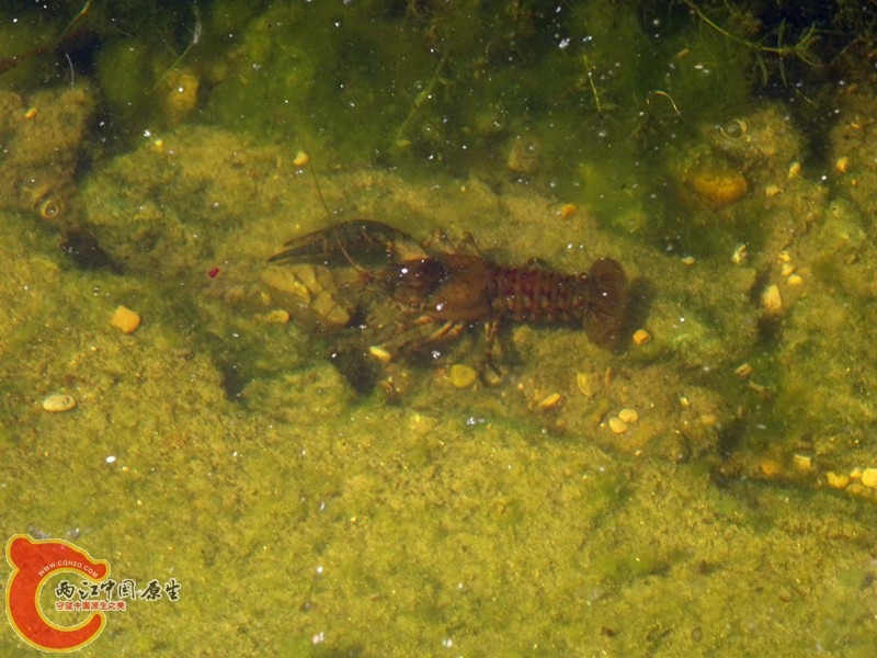 DSC01240_副本.jpg