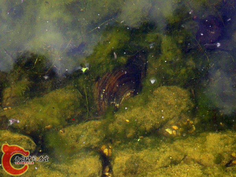 DSC01242_副本.jpg