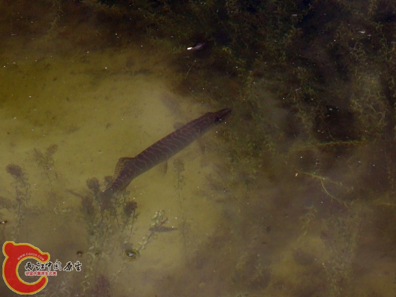 DSC01249_副本.jpg