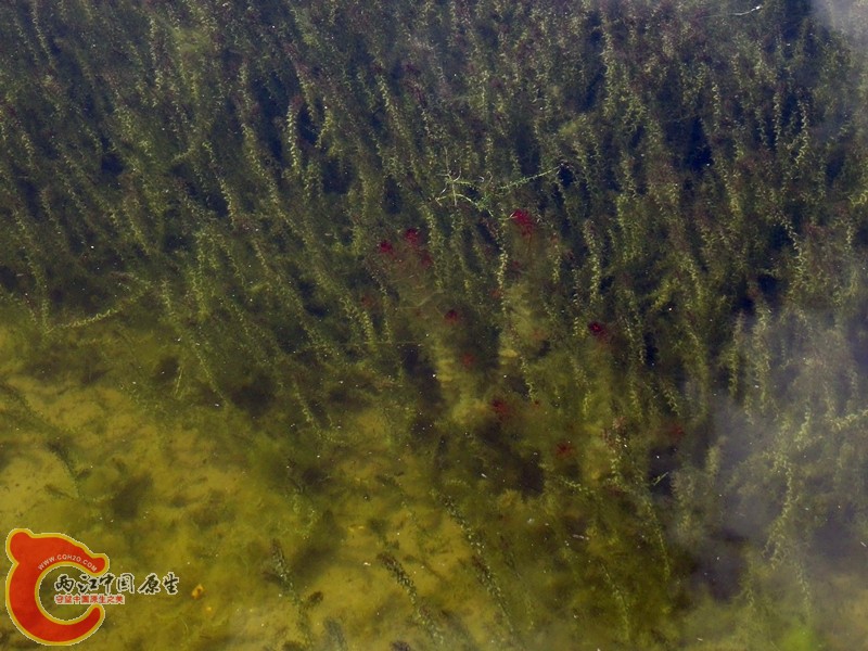 DSC01250_副本.jpg