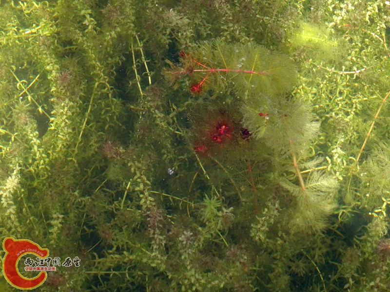 DSC01251_副本.jpg