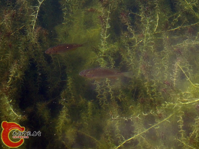 DSC01253_副本.jpg