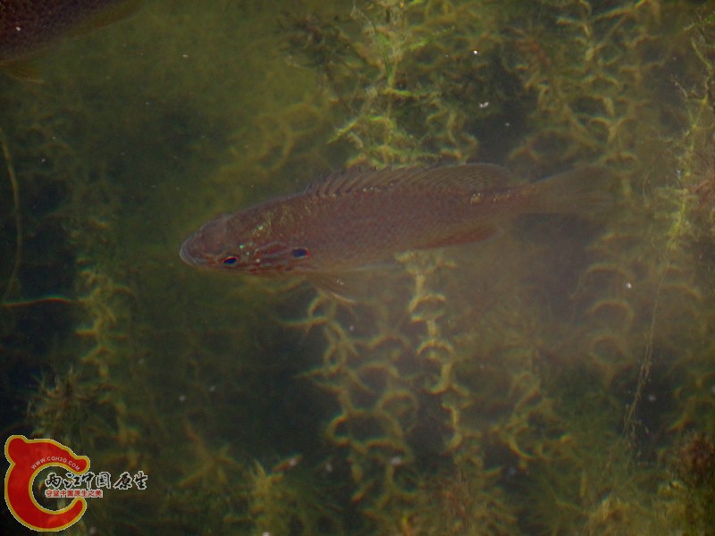 DSC01254_副本.jpg
