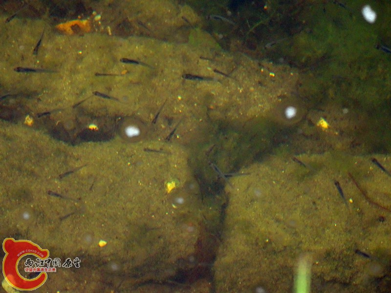 DSC01263_副本.jpg
