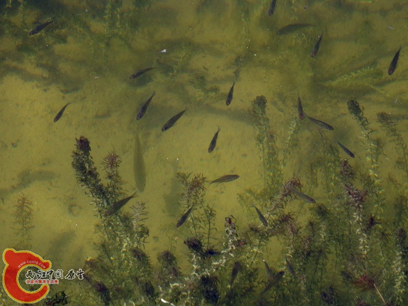 DSC01270_副本.jpg