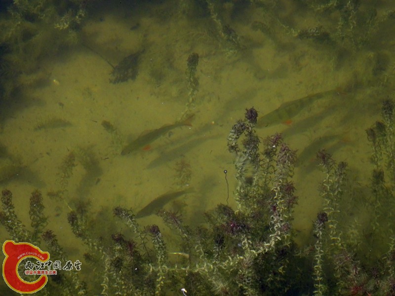DSC01286_副本.jpg