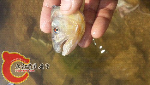 20150523_151231.jpg