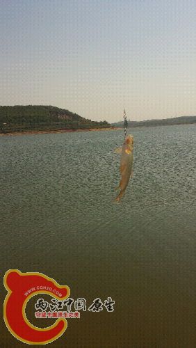 20150523_141537.jpg