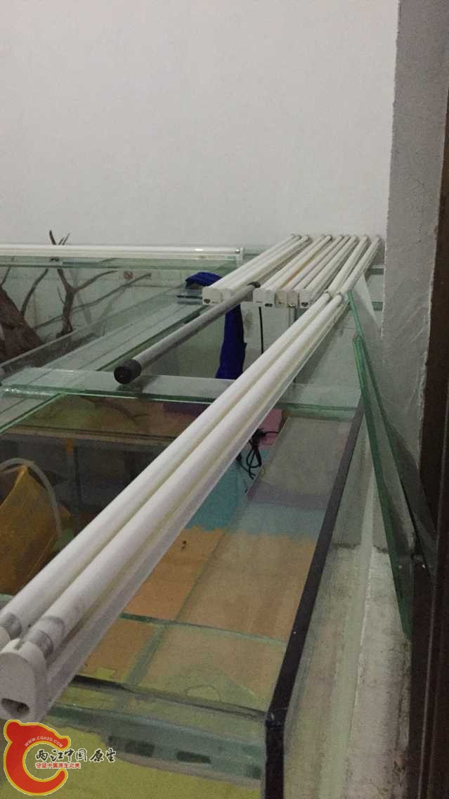 A0E1EFCCC11FD115DA236C3F05A366EB.png