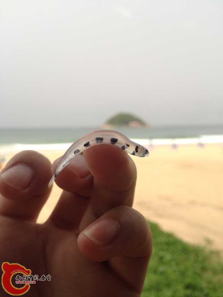 QQ图片20150525101438.jpg