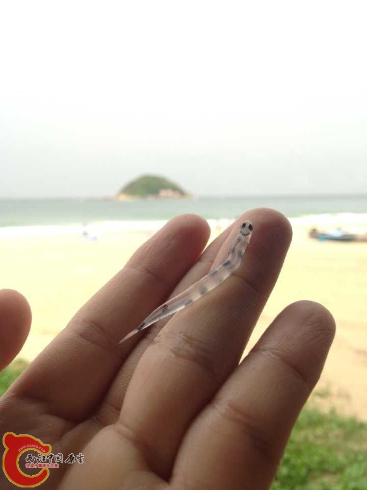 QQ图片20150525101459.jpg