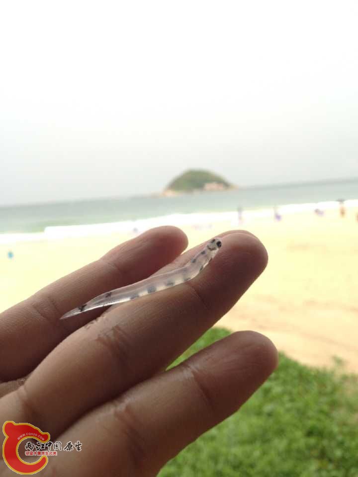QQ图片20150525101455.jpg