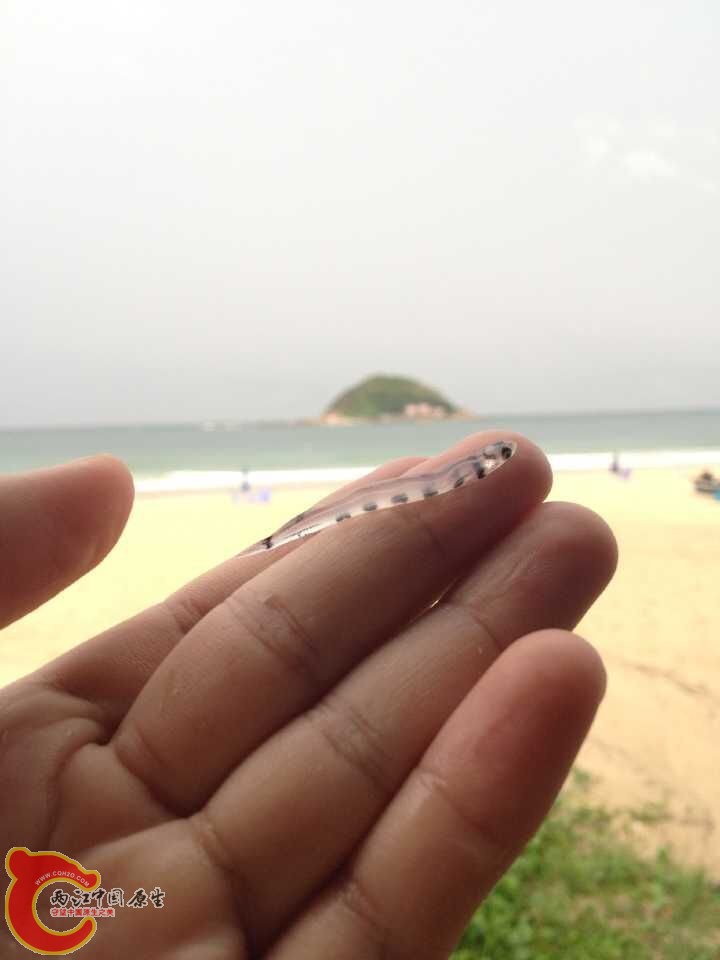 QQ图片20150525101509.jpg