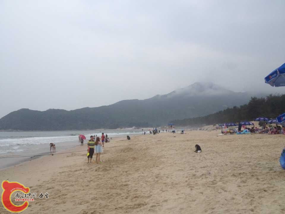 QQ图片20150525101530.jpg