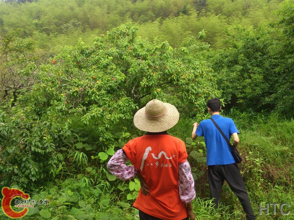 IMG20150508152257.JPG