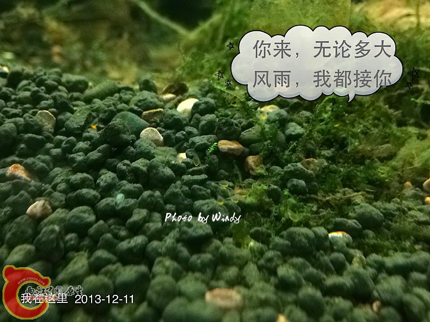 IMG_0349_副本.jpg