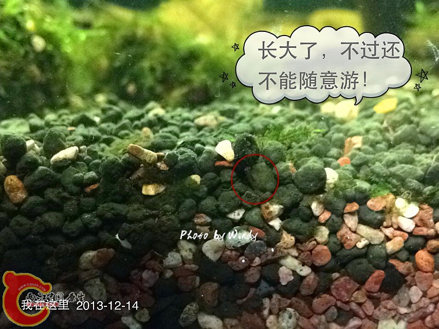 IMG_0443_副本.jpg