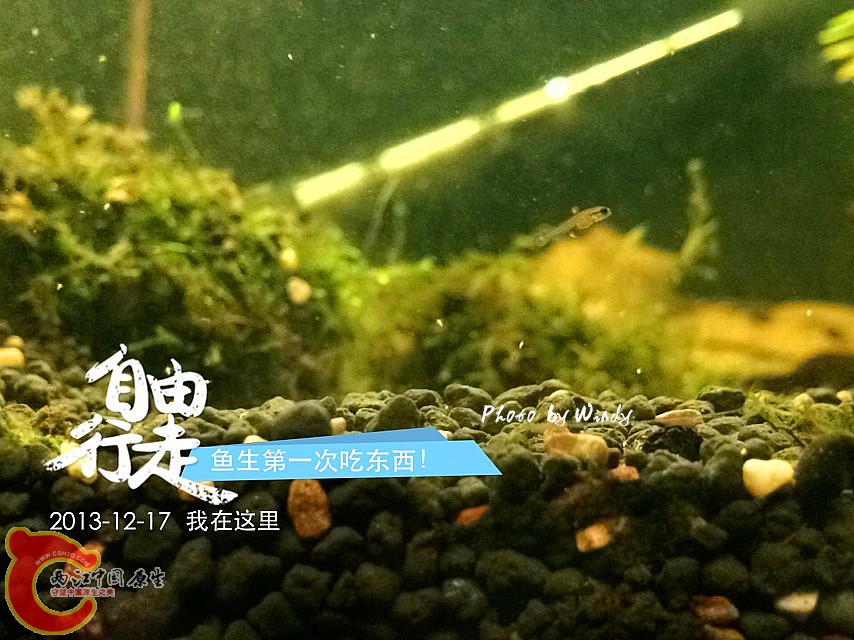 IMG_0516_副本.jpg