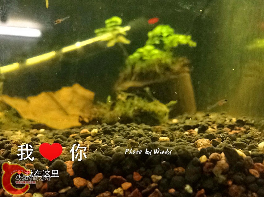 IMG_0517_副本.jpg