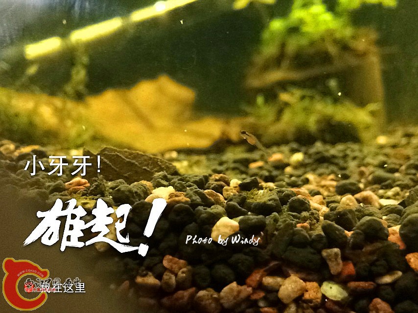 IMG_0518_副本.jpg