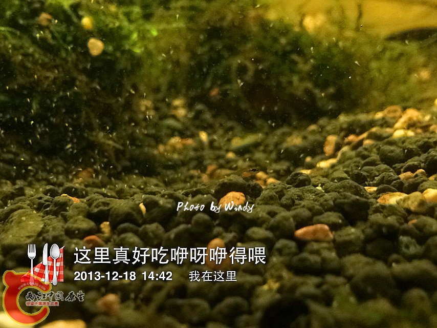 IMG_0526_副本.jpg
