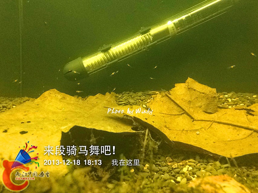 IMG_0527_副本.jpg