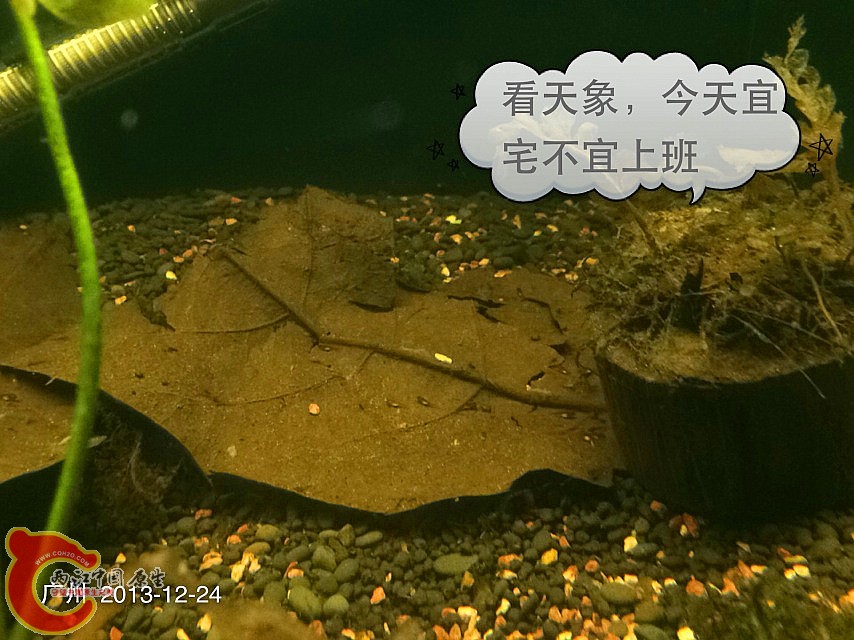 IMG_0599_副本.jpg